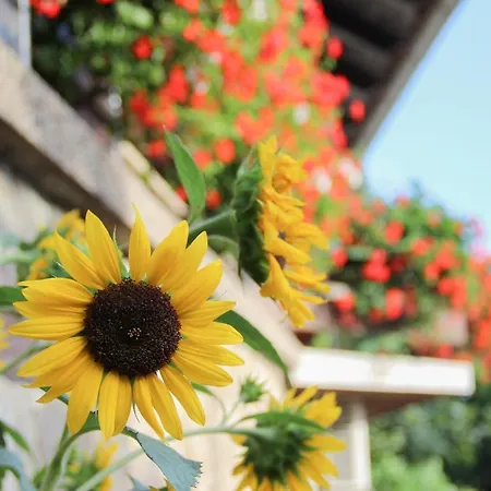 Apartma Pepi Casa vacanze Rogaška Slatina