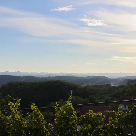 度假居 Apartma Pepi 罗加斯卡斯拉提纳