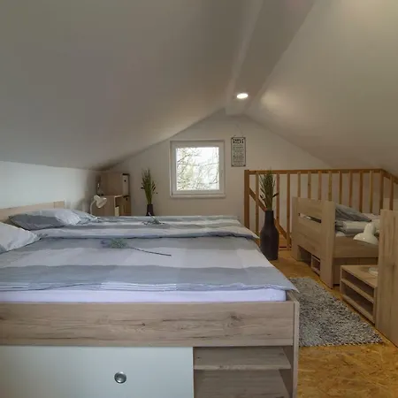 Apartma Pepi 度假居 *