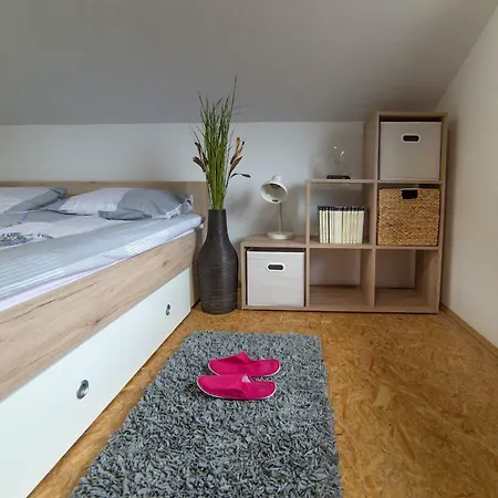 Apartma Pepi * 罗加斯卡斯拉提纳