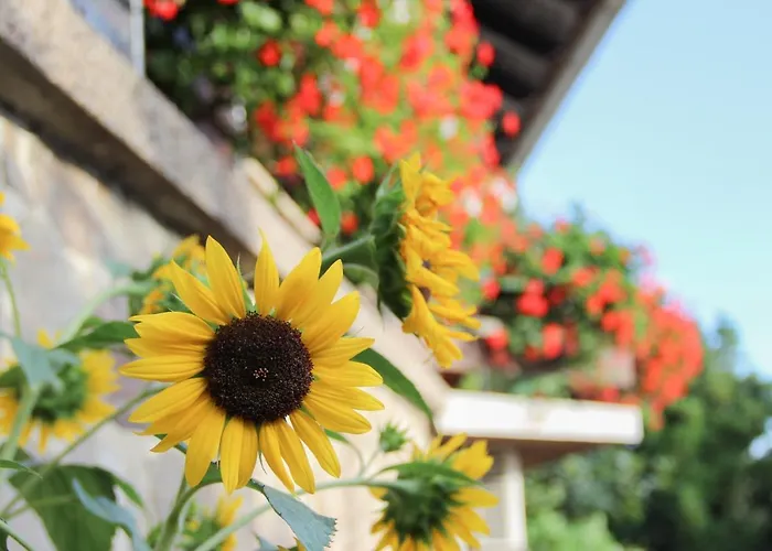 Apartma Pepi בית נופש רוגאסקה סלאטינה